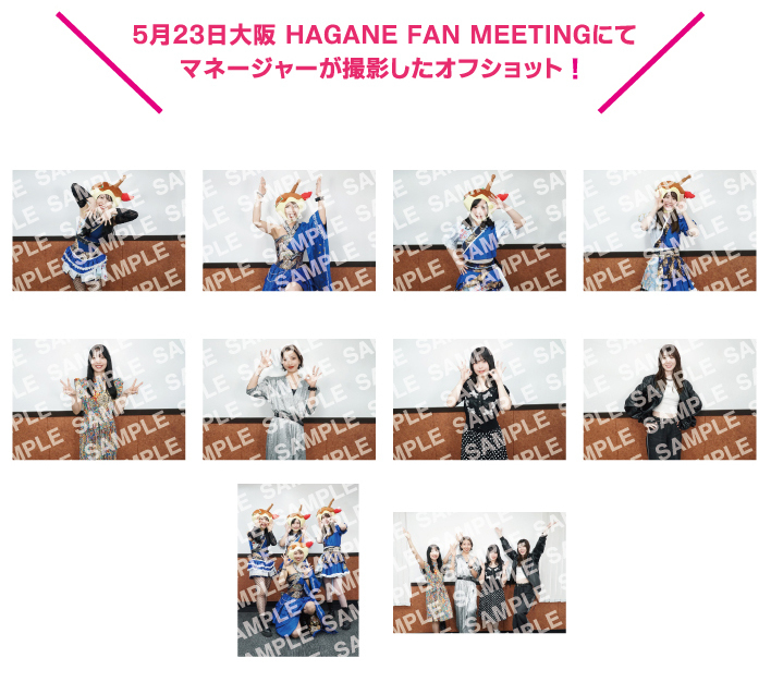 グッズ＞ 6/28川崎CLUB CITTA'より販売開始 | HAGANE オフィシャルサイト